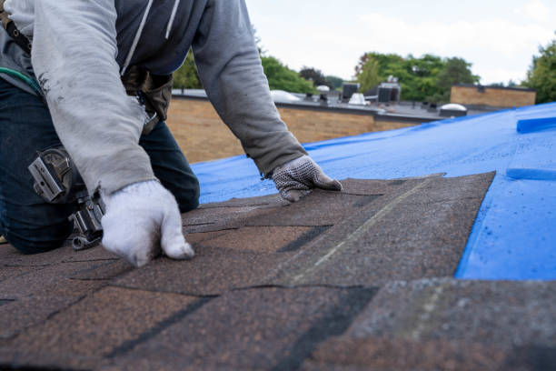 Roof Insulation Installation